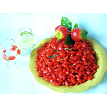 Organic Goji Berry